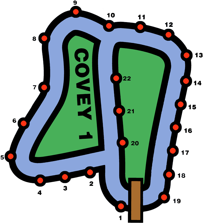 Covey1 - Covey 1 Partridge Lakes (750x790)