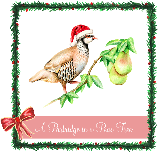 A Partridge In A Pear Tree - First Day Of Christmas Partridge (559x794)