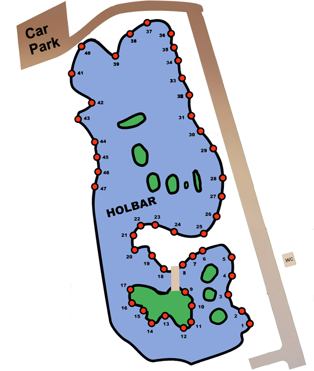 All Rules Are Also Subject To The Discretion Of Our - Cartoon (750x837)