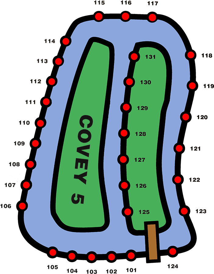 Covey5 - Circle (749x955)