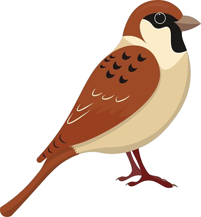 Vrabečci - Cartoon Picture Of Sparrow (400x431)