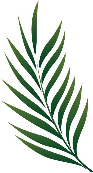 Palm Branch Image Free Cliparts That You Can Download - Tropical Leaves Illustration Png (356x575)