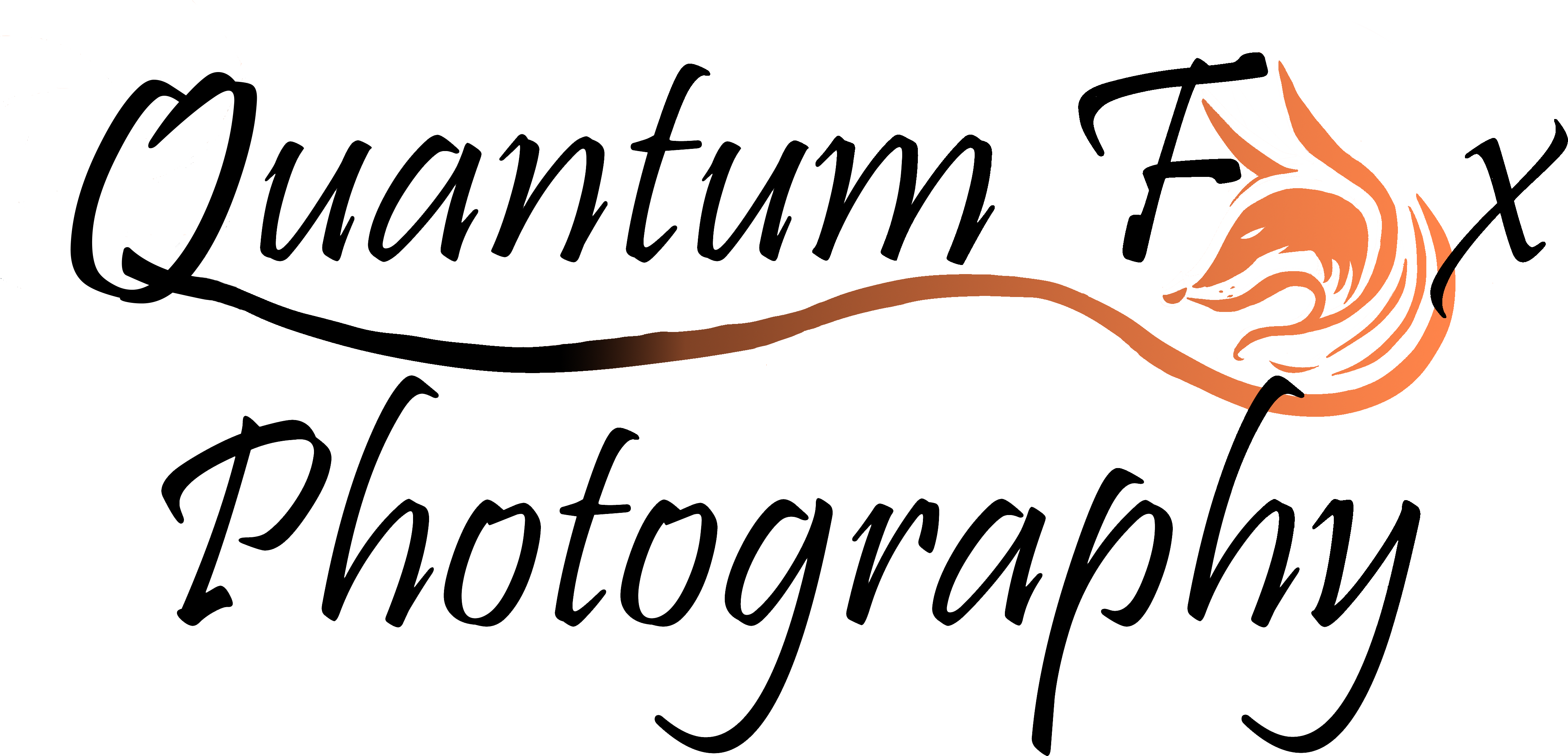 Quantum Fox Photography - Photography Dm Logo Design (4410x2173)