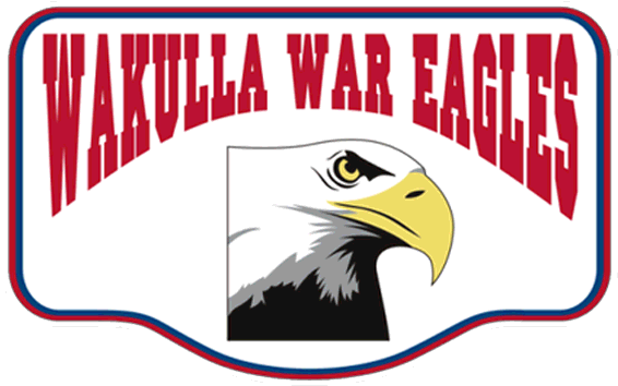 Bald Eagle (770x580)