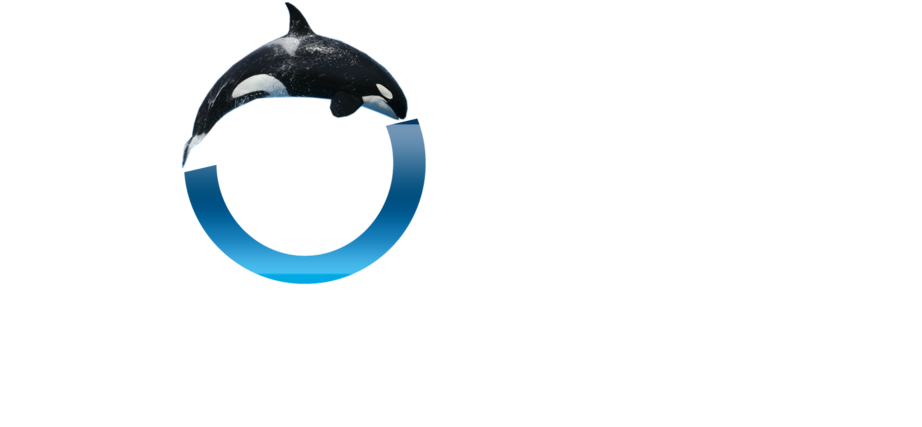 Iceberg Clipart Polar Zone - Killer Whale (1024x640)