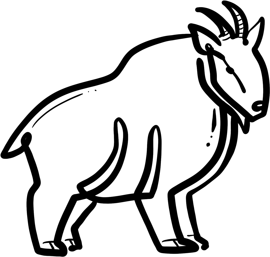 Also A Cute Little Wallaby - Mane (1920x1439)