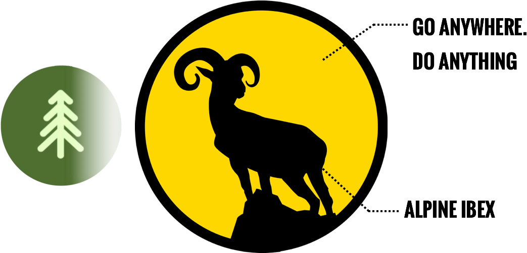 That Is Why We Chose The Alpine Ibex - Rawalpindi (1055x509)