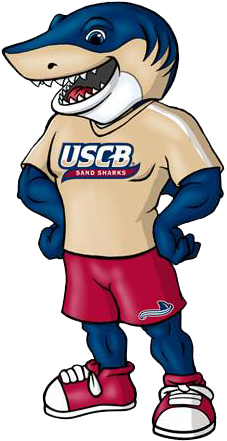 Sports Sand Shark Mascot - University Of South Carolina Beaufort (450x563)