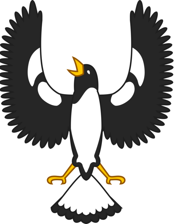 Piping Shrike Download Tool Drawing Computer Icons - Piping Shrike Download Tool Drawing Computer Icons (585x750)