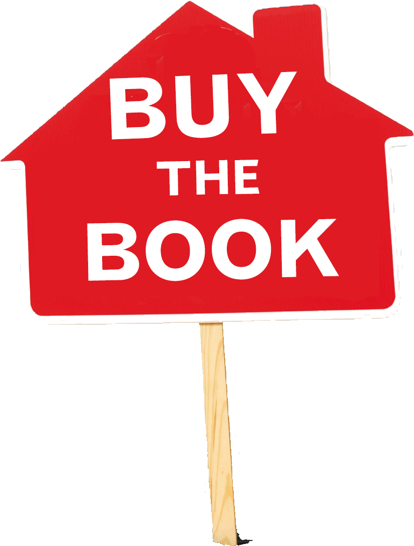 Buy The Book - The Book I Didn't Want To Write (873x1162)