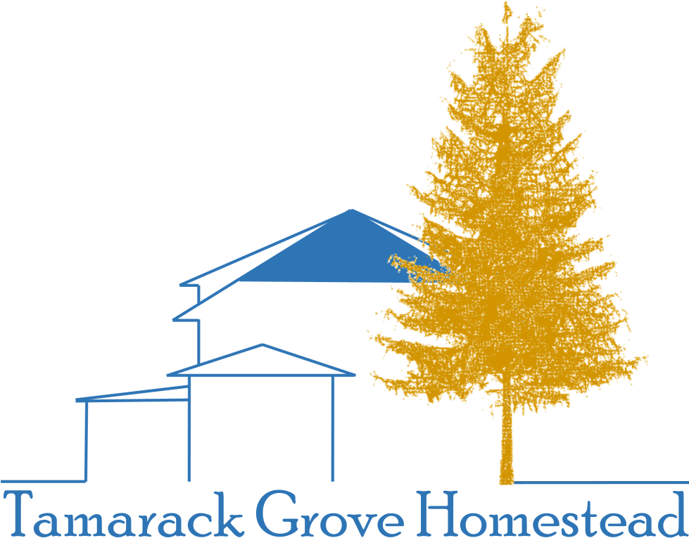 Tamarack Grove Homestead Is A Hobby Farm Established - Tree Larch (978x978)