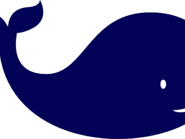 Whale Clipart Blue Whale - Whales (640x480)