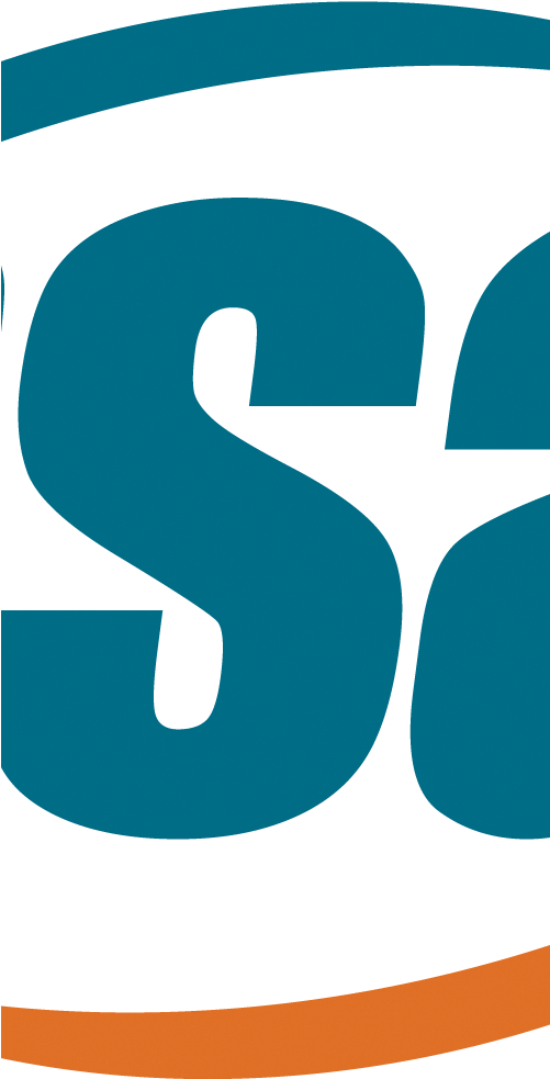 Bsa Logo - Bsa Logo (500x992)