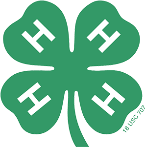 4 H Empowers School Aged Youth To Meet Challenges Of - 4 H Clover Png (600x300)