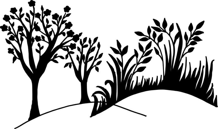 Nature Logo Png Transparent Background (850x504)