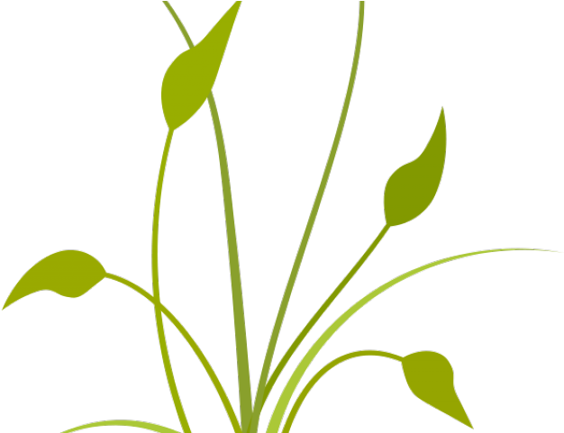 Free Nature Clipart - Free Nature Clipart (640x480)