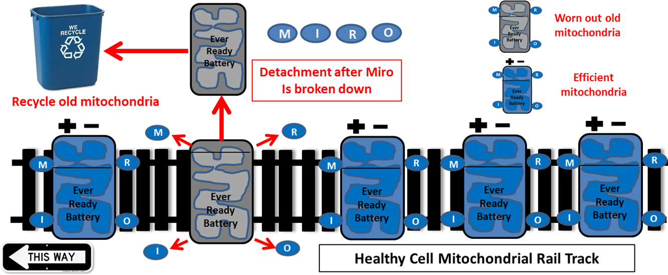 Two Genes Linked To Inherited Forms Of Parkinson's, - Emedco Rubbermaid? Commercial Deskside Recycling Container (1350x552)