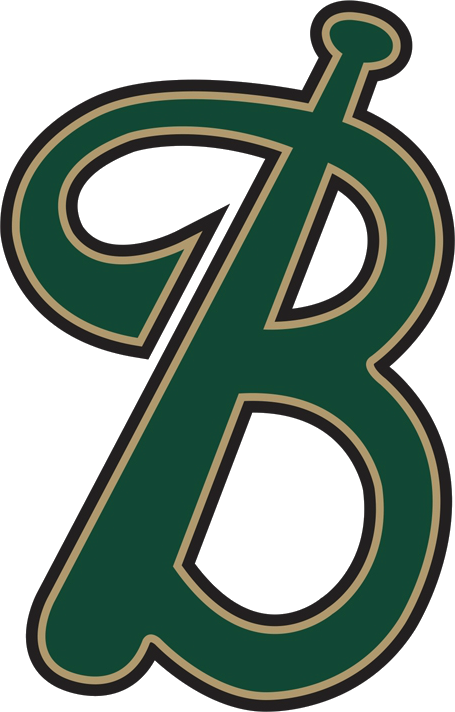 Birdville Baseball Logo - Birdville Hawks Baseball (455x712)