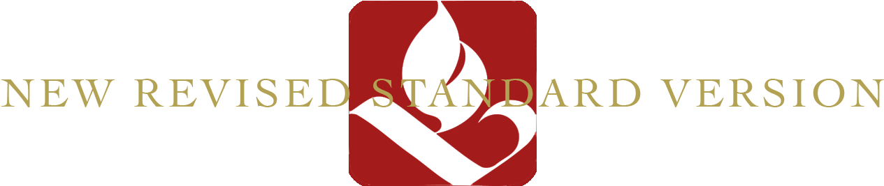 New Revised Standard Version Logo (1600x300)