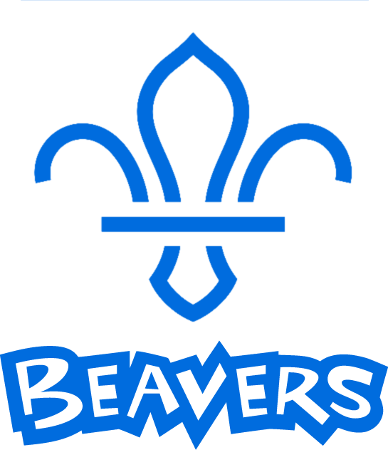 Everybody Aged 5¾-8 - Beavers Scouts Uk (545x631)