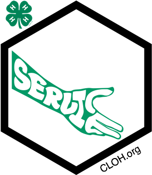 Digital Badges - Small Hexagon Black And White (350x350)