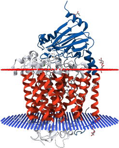 Catalytic Core Subunits Of Cytochrome C Oxidase From - Graphic Design (350x350)