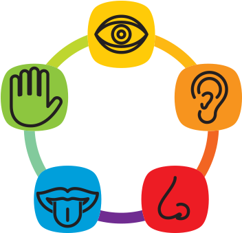 Sensory - 5 Senses (400x400)