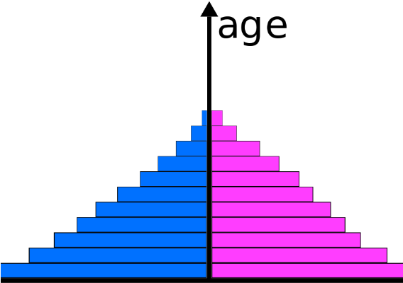 Population Pyramids By Amac89 - Population Pyramids By Amac89 (567x425)