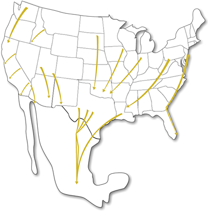 According To The National Geographic, In 2004, Monarch - According To The National Geographic, In 2004, Monarch (425x437)