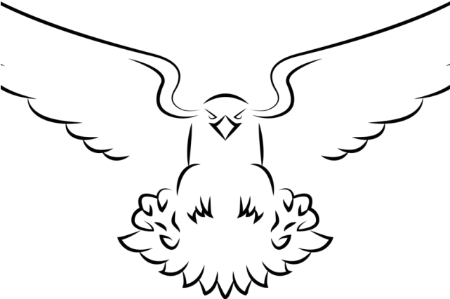 Drawn Eagle Simple - Eagle Drawing Png (640x480)