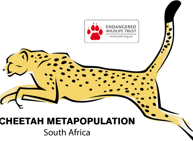 Africa Clipart Animal Population - Vinyl Sticker Decal Cheetah Atv Car Garage Bike (30 (640x480)