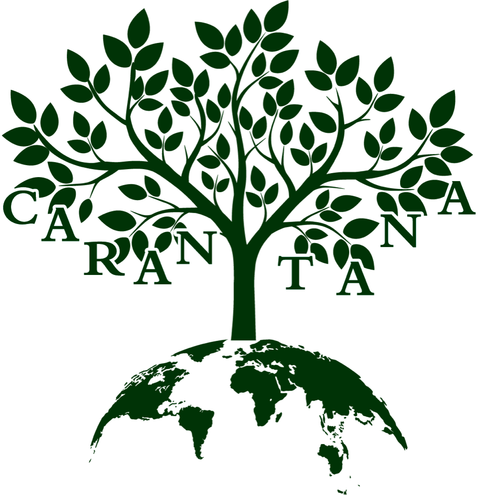 Website Under Construction - World Map (960x992)