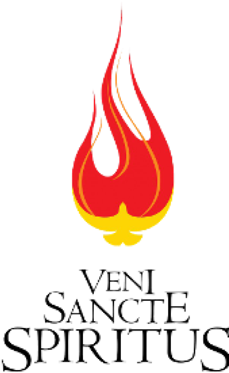 In The Sacrament Of Confirmation, The Baptized Person - Veni Sancte Spiritus (463x768)