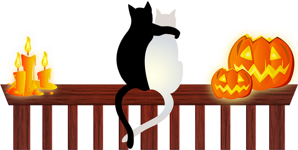 Keep Your Cat Safe This Halloween - Halloween Cats (960x559)