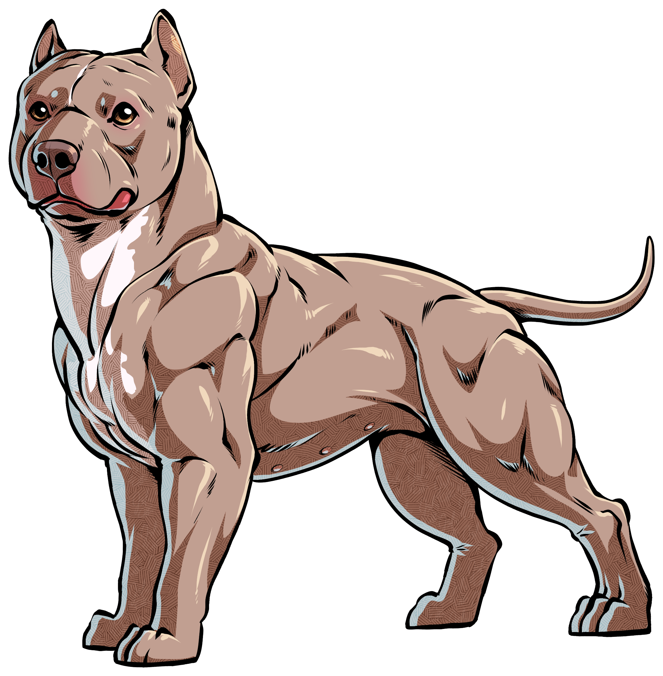 Clip Art Why Are There So Many Different Types Of American - Pitbull Terrier Logo (2880x2348)