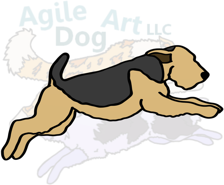 American Pit Bull Terrier - Dog (800x800)