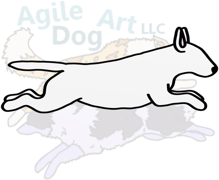 Bull Terrier - Bull Terrier (800x800)