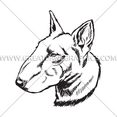 Bull Terrier - Old English Terrier (385x385)