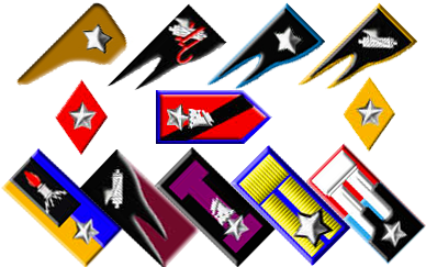 1955 Other Patches - Emblem (400x242)