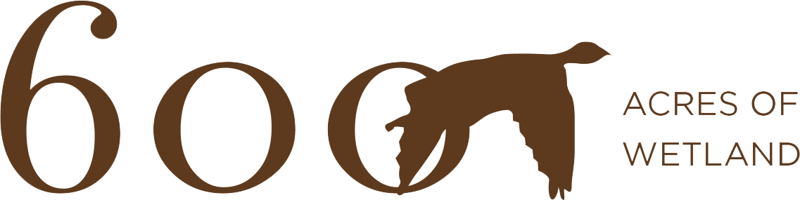 Control The Water In Paradise Lake Enables The Ability - Emblem (1137x285)