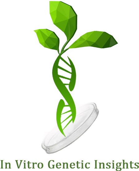 Genes Affecting Plant Regeneration And Transformation - Plant Regeneration (500x613)