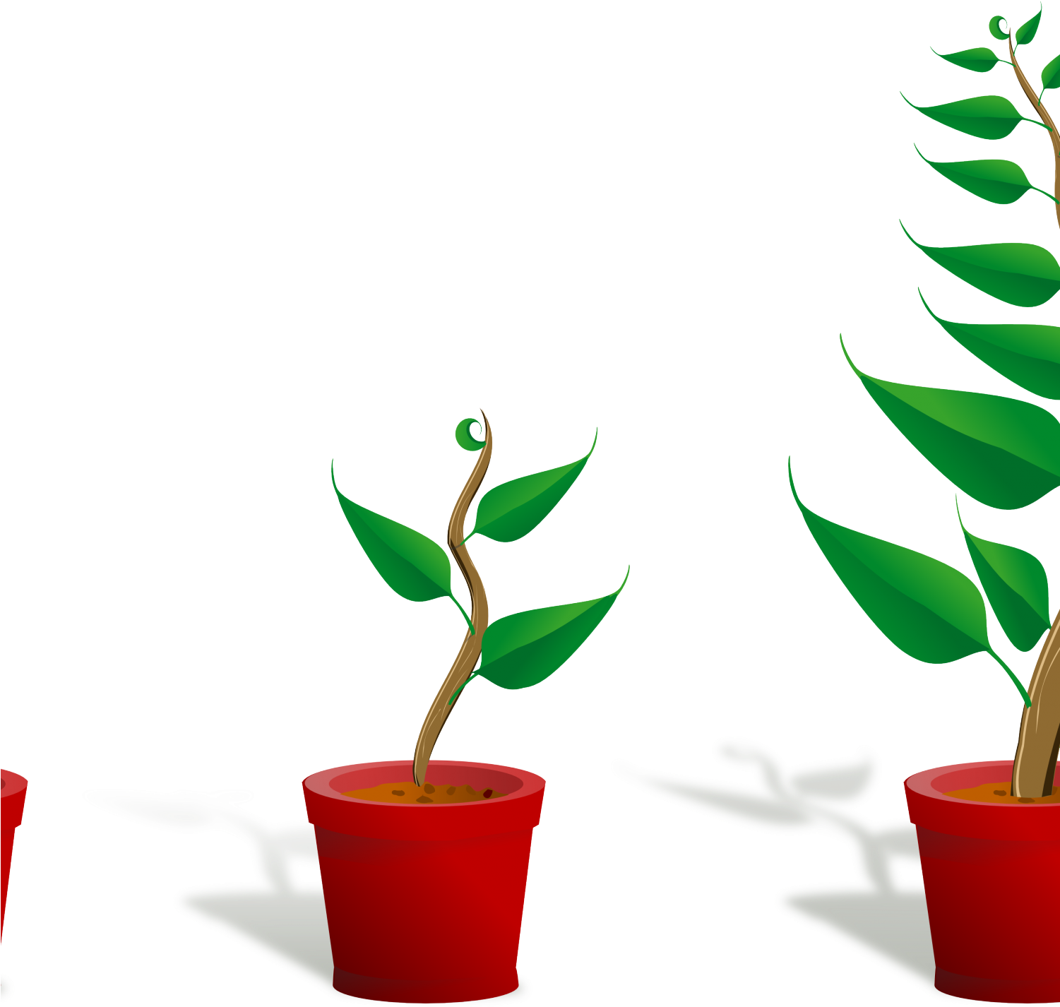 Flower Plant Growing Pxpng Cartoon Flowers - Getting To Know Plants (1500x1500)