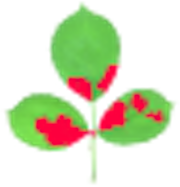 Assess - Illustration (400x400)