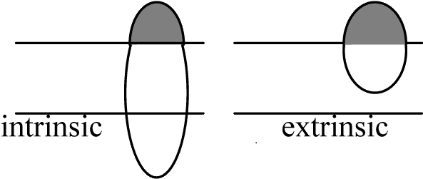 Plasma Membrane - Cell Membrane (600x256)