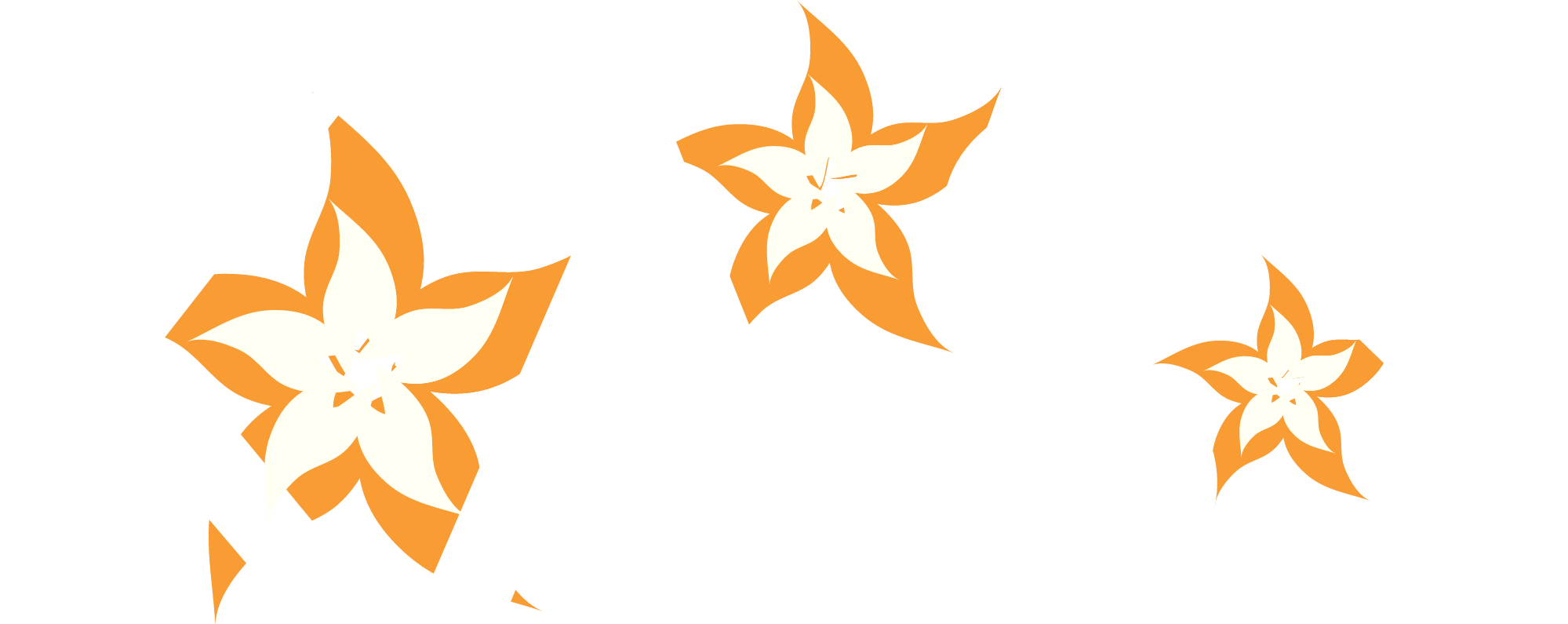 Motive Sterne (2018x814)