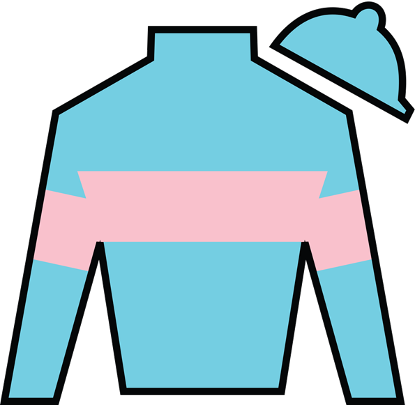 Steve Landers Racing Llc - Racing Silks (595x581)
