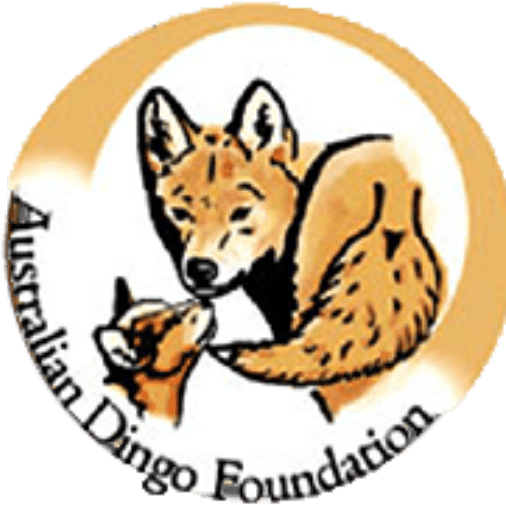 Dingo Foundation (512x512)