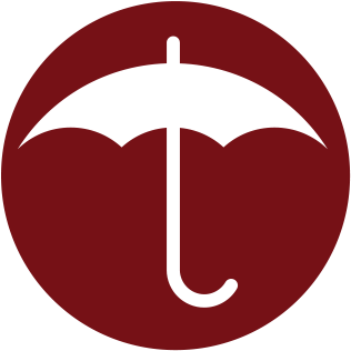 Animal Shelter - Steak (379x379)