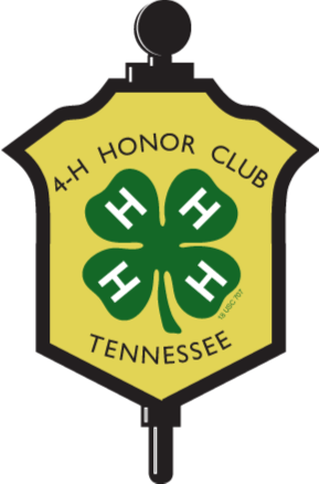 Honor Club Key - 4 H Clover (289x438)