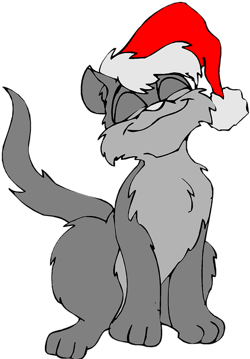 Christmas, Cat, Cute, Hat, Sitting, Xmas, Holiday - Christmas-cat Note Cards (pk Of 10) (495x720)